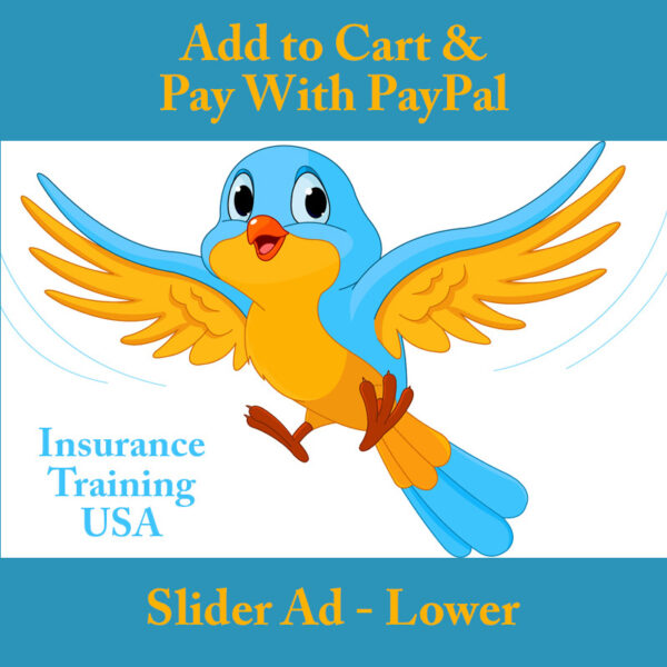 Slider Ad - Lower